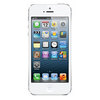 Apple iPhone 5 16Gb white - Североуральск